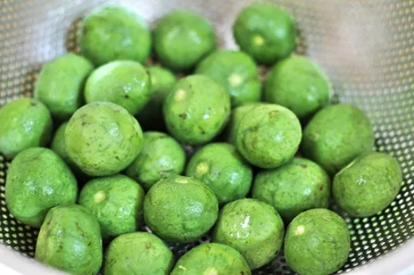 Ăn quả sấu có tốt không?