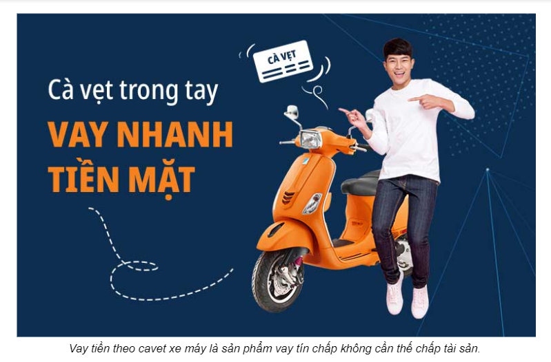 Cầm cà vẹt xe được bao nhiêu tiền?
