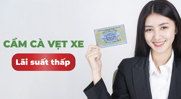 Cầm cà vẹt xe được bao nhiêu tiền?
