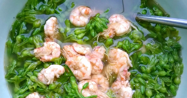 Món Hoa Thiên Lý Nấu Canh Tôm