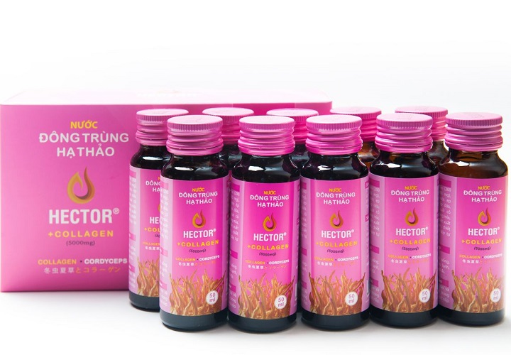 Tác dụng của đông trùng hạ thảo Hector