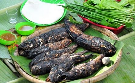 Hướng dẫn cách làm món cá trê đồng nướng là nghệ