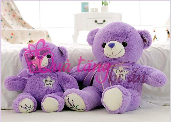 Kinh nghiệm mua gấu bông giá rẻ, chất lượng không phải ai cũng biết