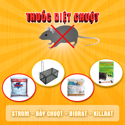 Cẩn thận khi vật nuôi có thể ăn nhầm thuốc diệt chuột?