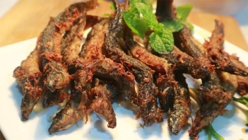 H1 - Cách nấu món ngon