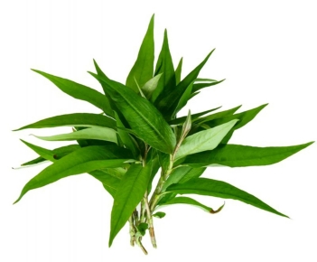 H1 - Cách nấu món ngon