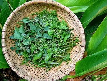 H1 - Cách nấu món ngon