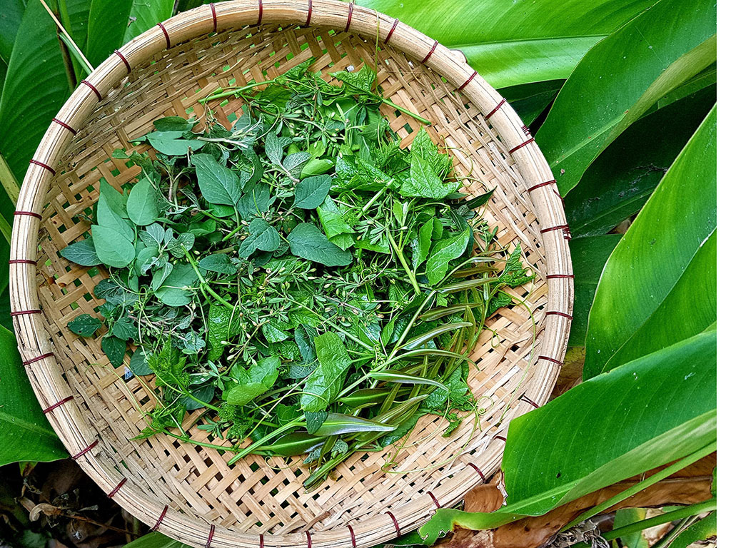 H1 - Cách nấu món ngon