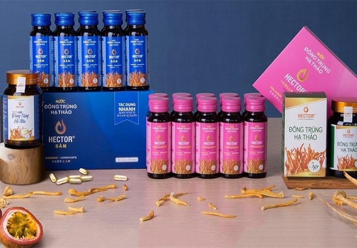 Tác dụng của đông trùng hạ thảo Hector